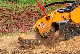 Best Tree Cabling and Bracing  in Stonegate, CO