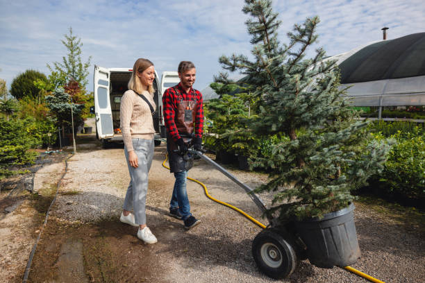 Best Weed Control  in Stonegate, CO